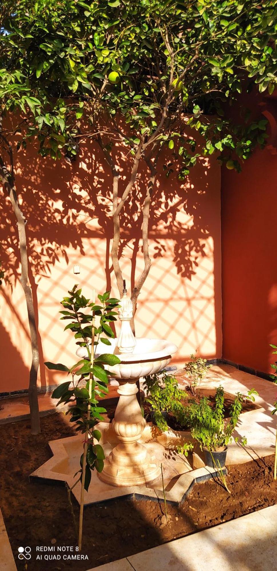 Maison D'Hotes Le Petit Jardin Marrakech Marrakesh Exterior photo